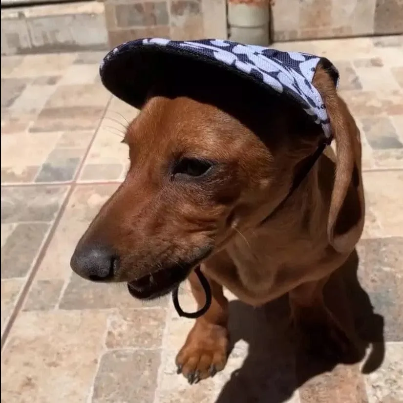 Graphic Baseball Dachshund Hat