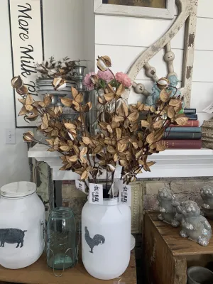 Pair of Cotton Stem Husks